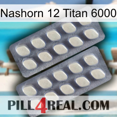 Rhino 12 Titanium 6000 07